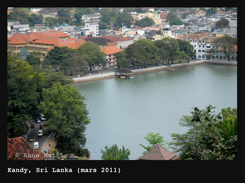 On A Trop Aim Ou Presque au Sri Lanka